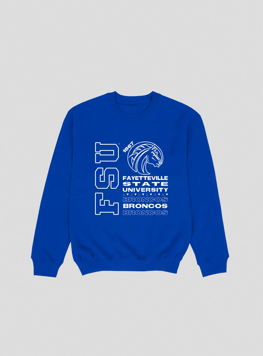 Fayetteville State Tour Crewneck (Various Colors) FINAL SALE