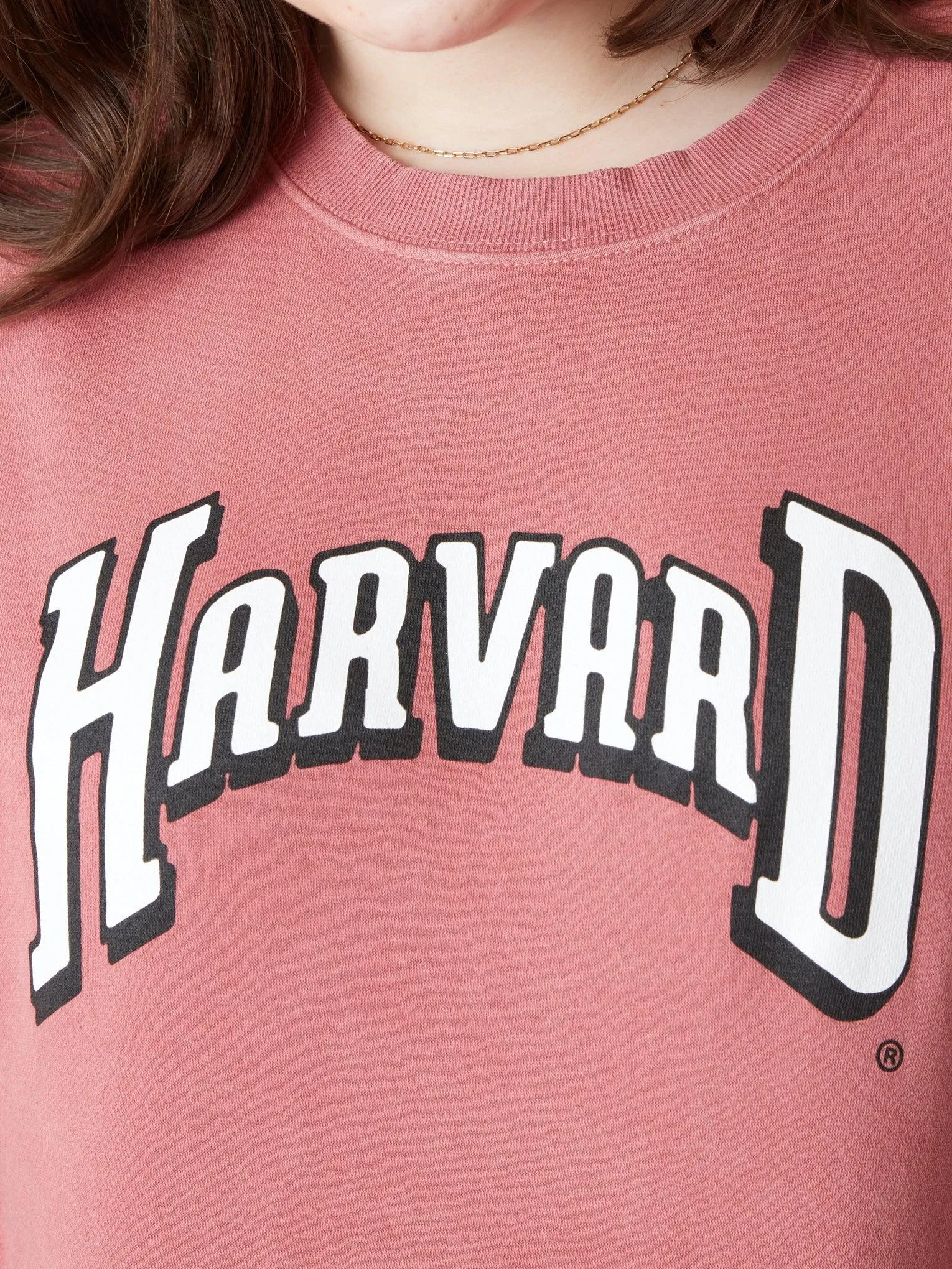 Harvard Distressed Crewneck